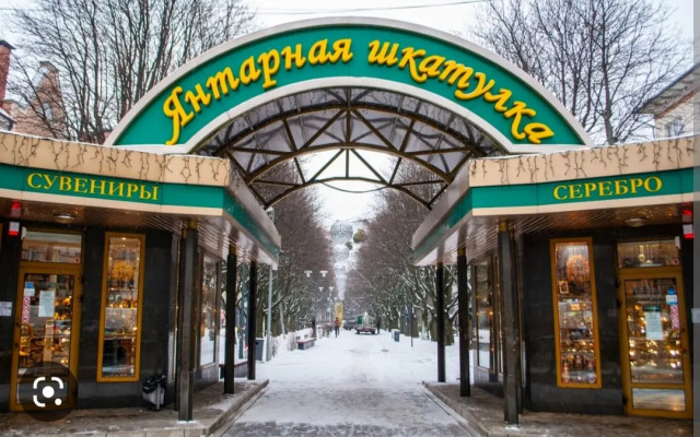 Апартаменты Двухкомнатные Рядом с Янтарной Шкатулкой