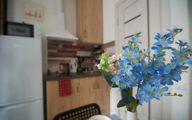 Apartments Klassicheskie S Vidom Na Gorod Vasiliya Oschepkova 1