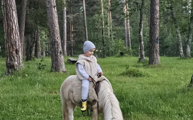 Sherwood Arkhyz Chalet Recreation Camp