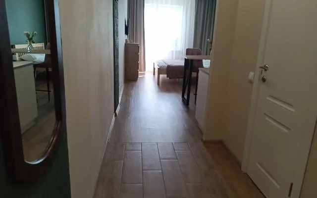 Studiya Pribrezhnyj Flat