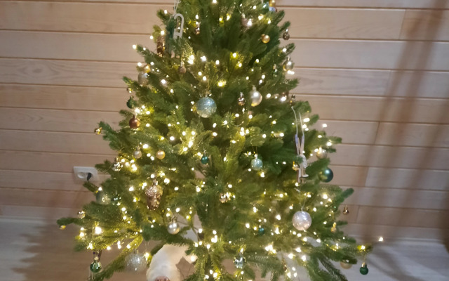 Гостевой дом Kislorod