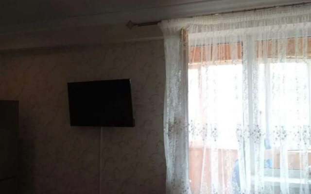 Na Ulitse Pushkina 158/1 Apartments