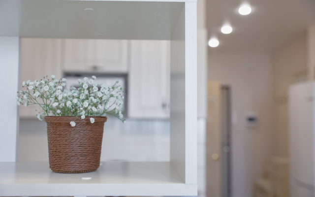 Апартаменты в стиле бохо с чудесным видом