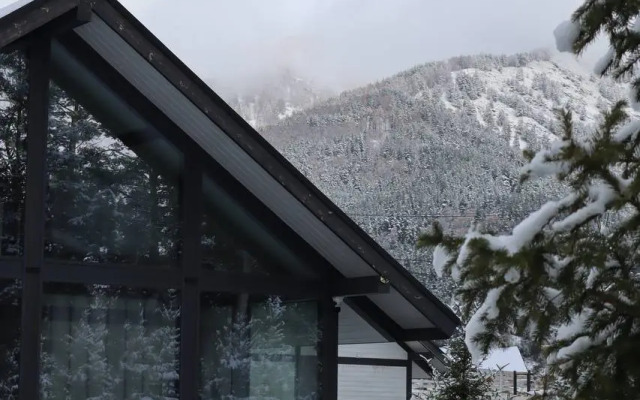 Отель Альпинс Residence