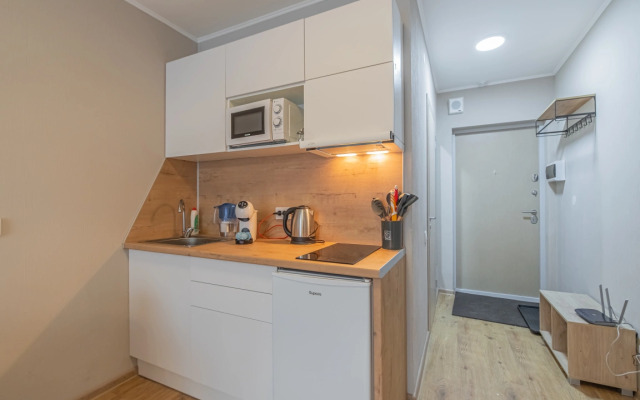 Apartment Standart SalutApart 8