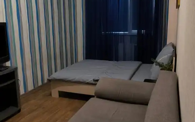 Квартира Ареал Однушка Аэропорт Тц Солнечный