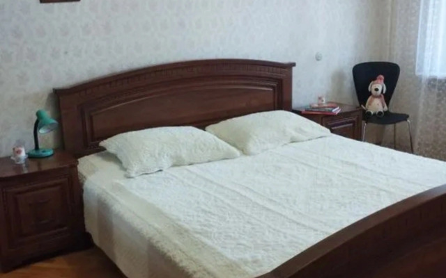 V Tsentre Goroda Flat