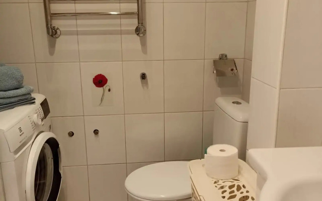 1-Komnatnaya Bestugheva15 Vid na Zolotoy Most Flat