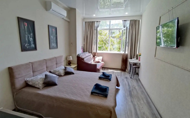 Uyutnaya studiya vozle morya Apartments