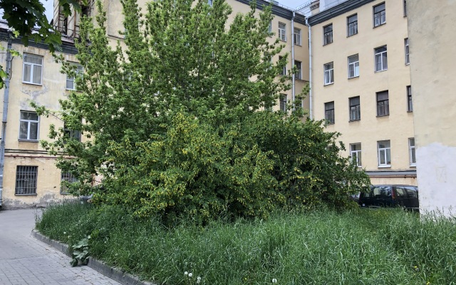 Anastasiya Apartments