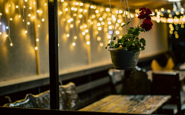 Mari Guest house