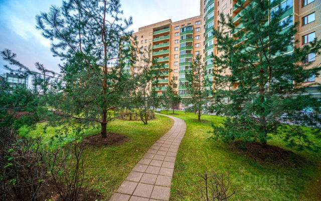 Shokolad U Mts Almazova Flat