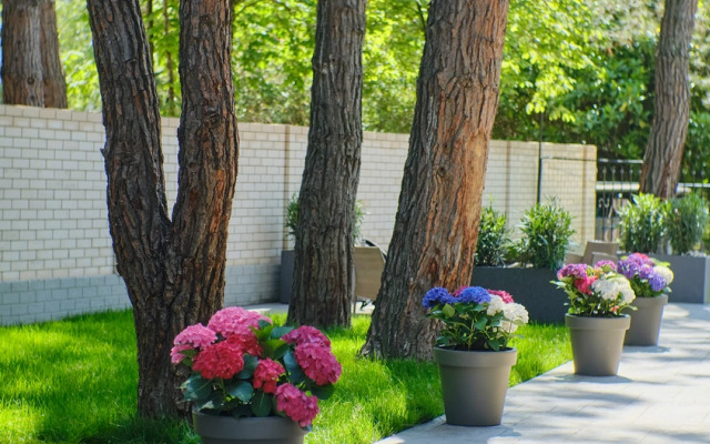 Grejs Kaliforniya 3* Hotel