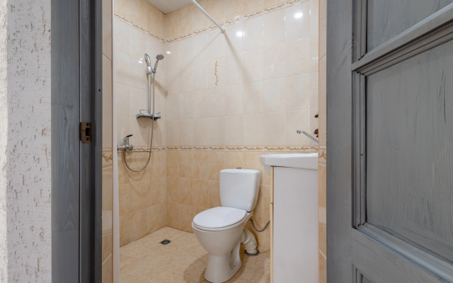 Skvortsy Guest house