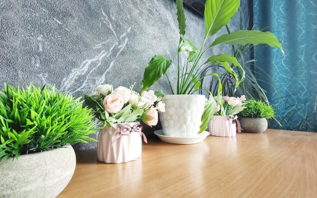 Квартира у аэропорта