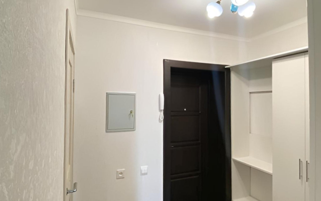 Квартира на Проспекте Дружбы Народов 17