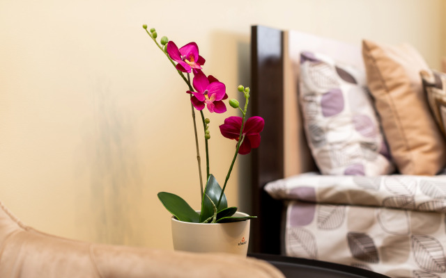Nedaleko ot naberezhnoy Flat