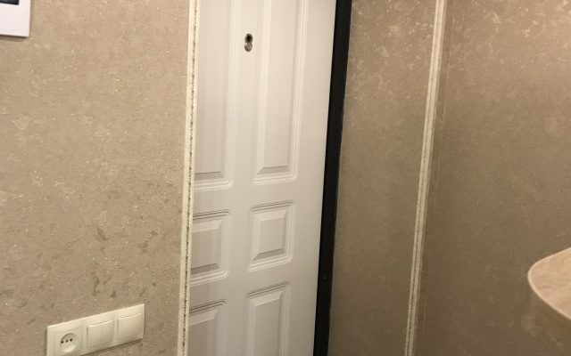 Shikarnaya Stalinka Na Prospekte Lenina Apartments