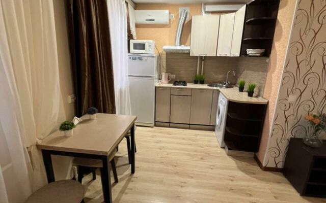 Апартаменты 1-комнатные в Центре Города на Ленина