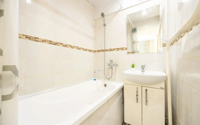 Odnokomnatnyye Passazhir 2 Apartments