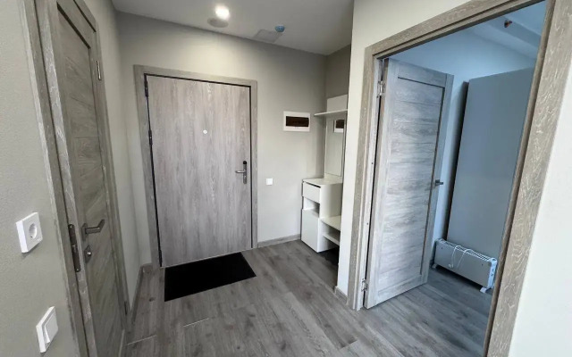 Odnokomnatnye U Metro Apartments