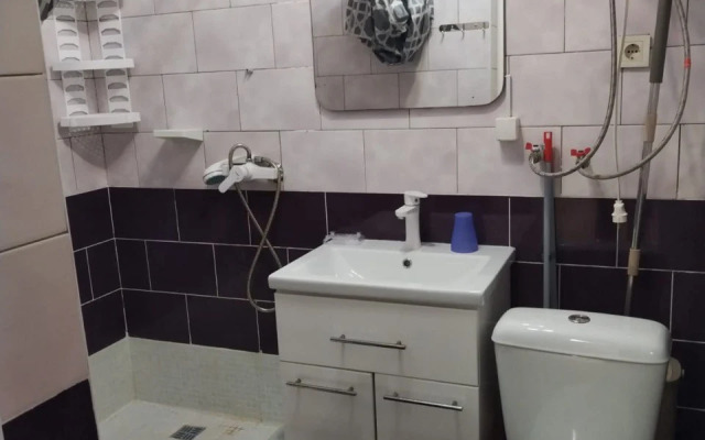 Апартаменты ZetPark 9