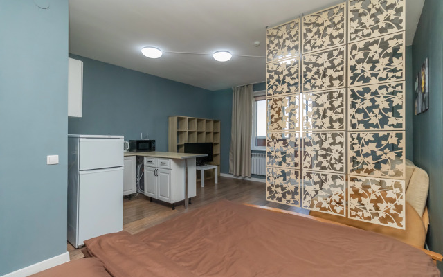 Квартира Елькина 88а