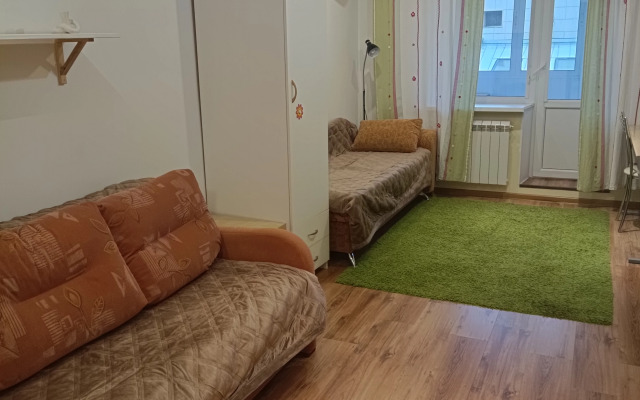 Квартира 2-х комнатная на Ильюшина около клиники Скандинавия