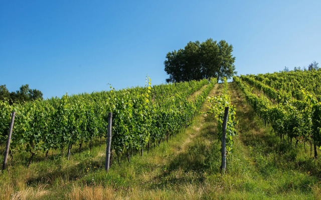 Отель Relai Sassa al Sole