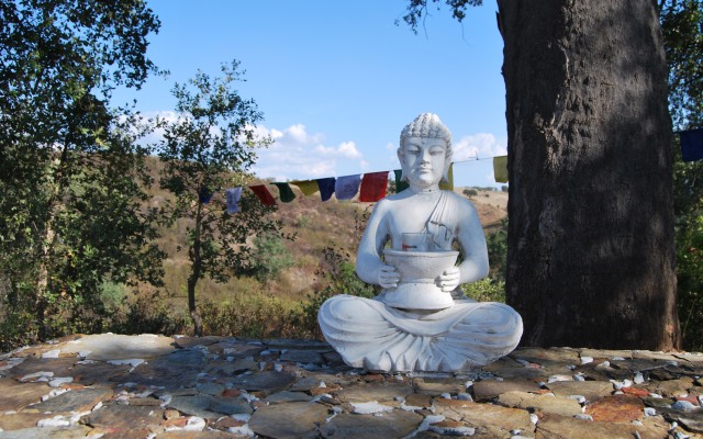 Гостевой Дом Buddha Peaceful Oasis