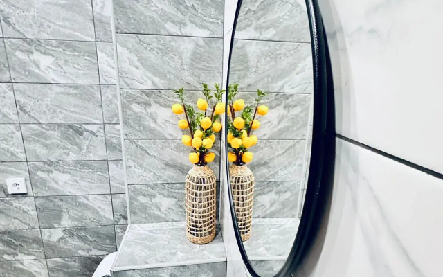 Апартаменты мега 4