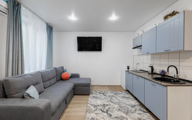 Tataparts Uyutnaya Studiya Brauni Apartaments