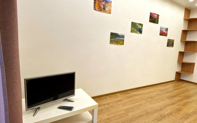 Квартира Konstantinov Apartments Красный проспект