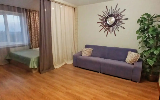 Квартира Татьяны Снежиной 49