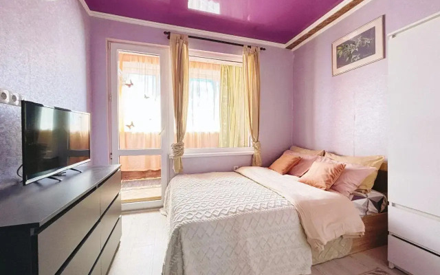 Na Tsvetochnoy 44/3 Apartments