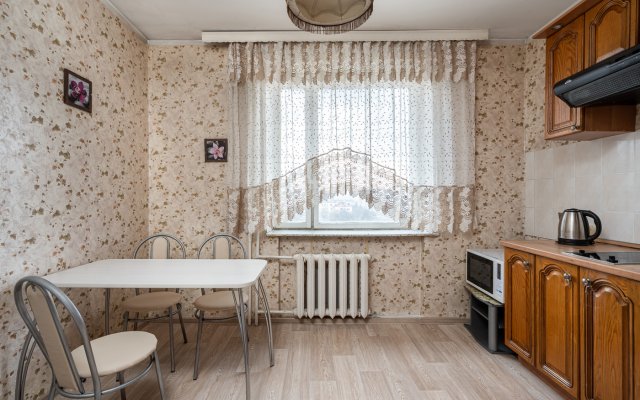 Babushkinskaya Apartments