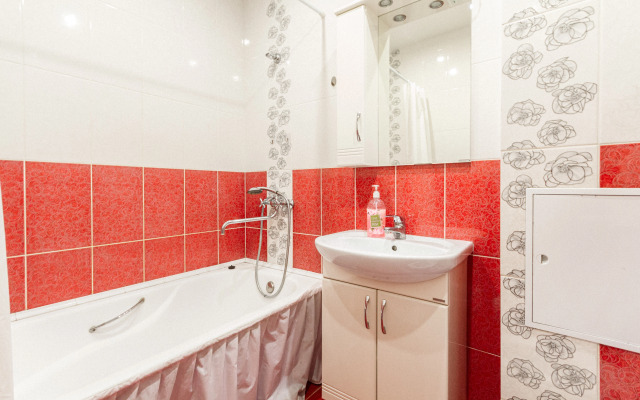 Na Ulitse Mikheeva 25 Flat