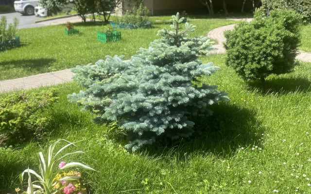 Квартира Однокомнатная в жк Город Солнца