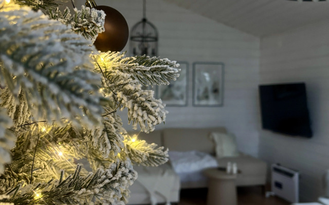 Частный Дом ЕлкиШале с 3мя спальнями, баней и чаном