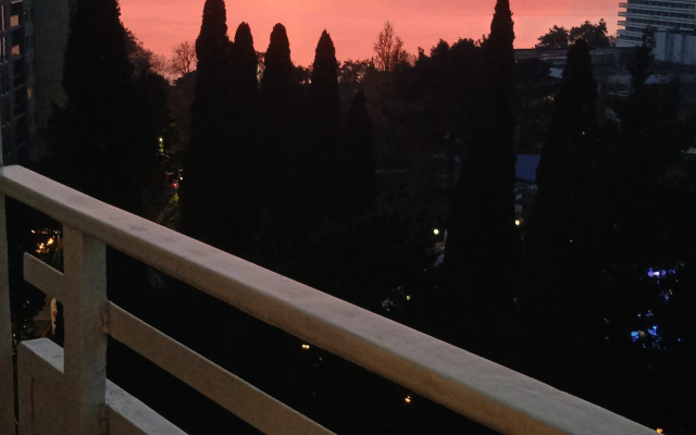 S Krasivym Vidom Na More Flat