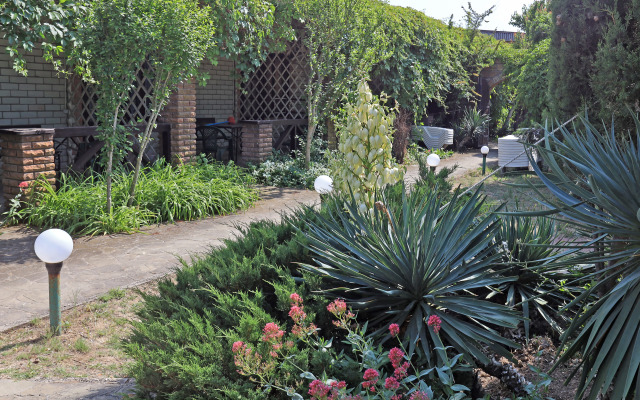 Гостевой дом Парк-отель Казантип Центр