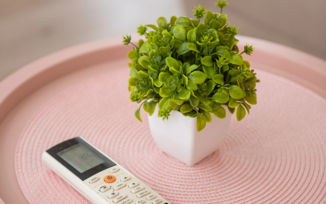 Apartments in a New Building near the park in Saburtalo