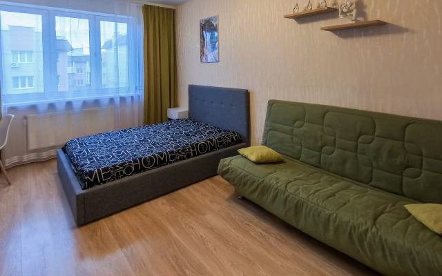 Dvukhkomnatnye V Novom Mikrorayone Levoberezhny Apartments