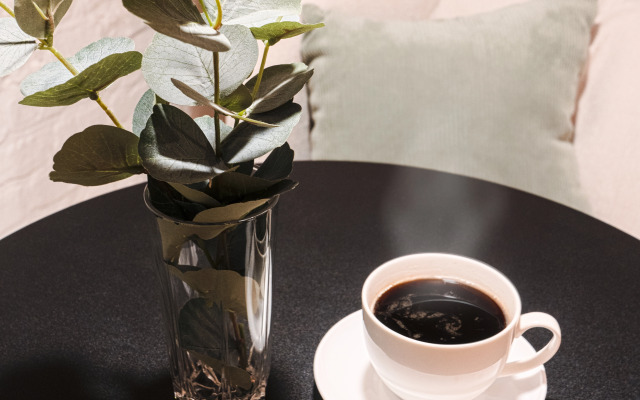 Отель Centeral Hotel