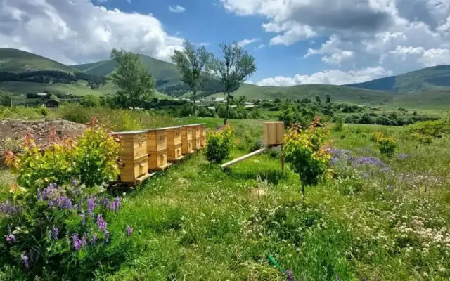 Частный дом Tooi Ecolodge