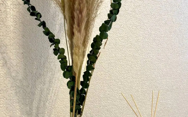 Апартаменты студия Holmy Dinamo33