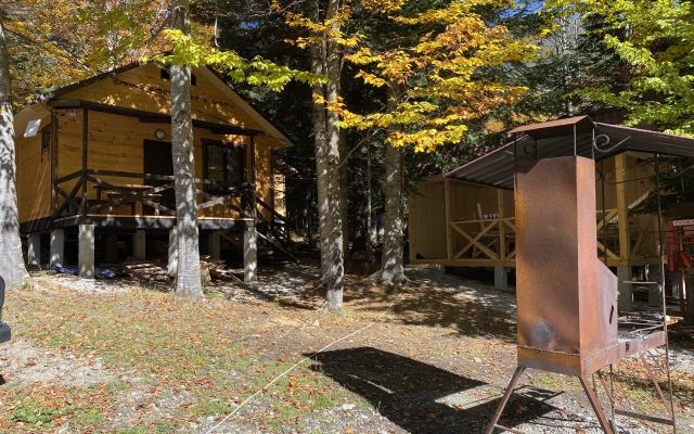 Polyana Zubrov Recreation Camp