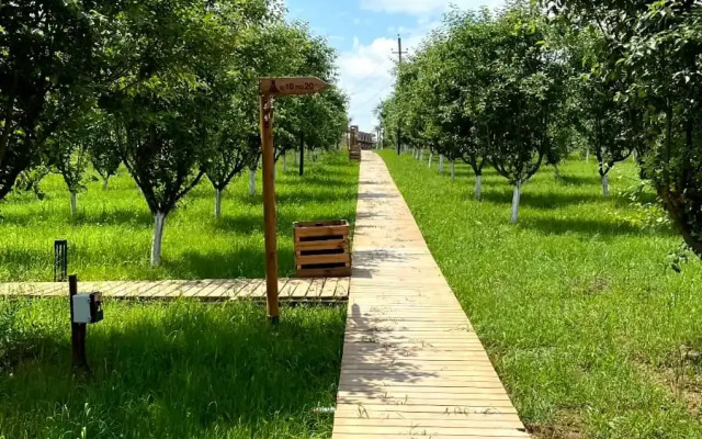 Apparadise Glamping&Spa