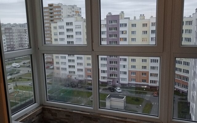 Апартаменты  Виктора Денисова 16