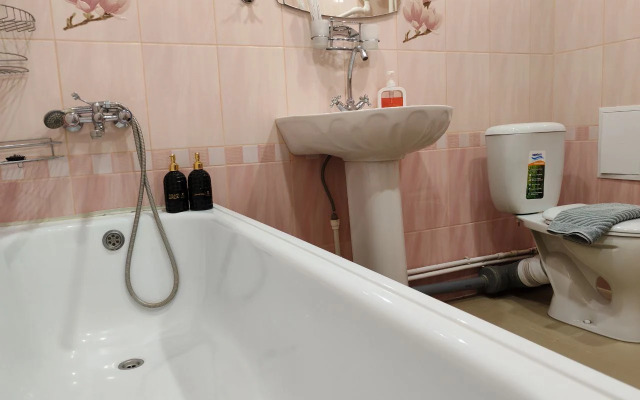 Апартаменты Большая студия Судоремонтная 31/1